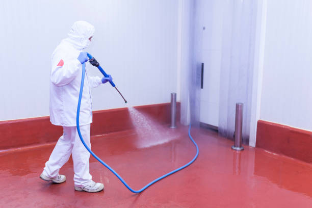 Paint Preparation in Watertown, WI